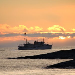IMG_0817