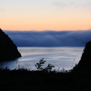 Nebel Auf Meer