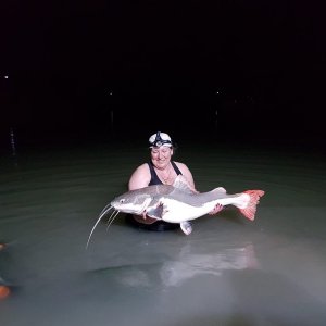 IMG-20190206-WA0039