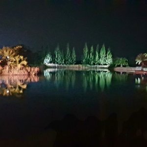 20190206_224908