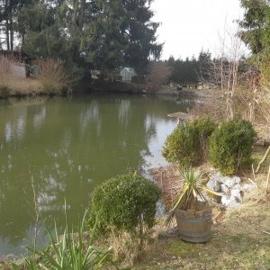 20190222_154016