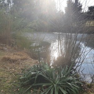 20190222_154020