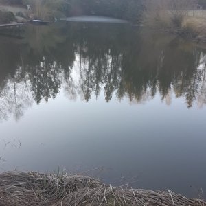 20190223_092644