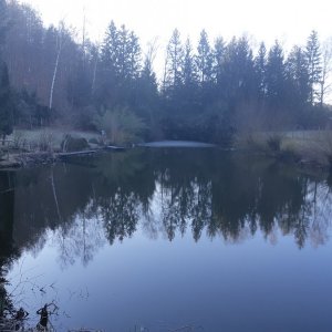 20190223_092650