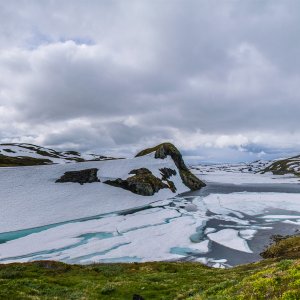 www.norwegen-angelforum.de