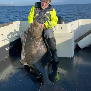 Medium 'Havøysund 2025' in der Kategorie 'Nordnorwegen'