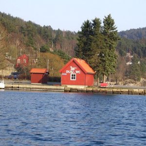 128.jpg