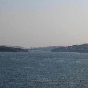 137.jpg