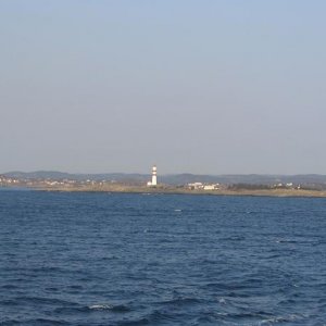 141.jpg