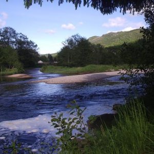 Kvinaelva