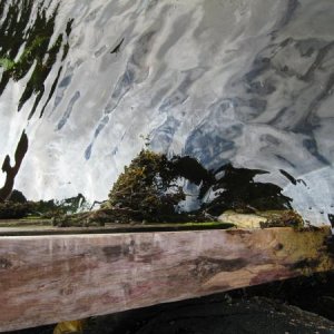 Ölschicht an der Wasserentnahmestelle zum reinigen der Fische