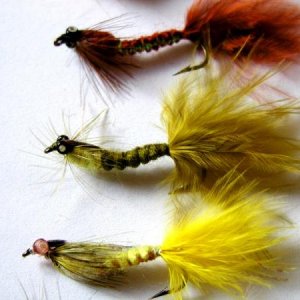 Fliegen 002