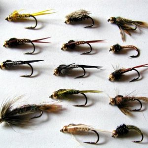 Fliegen 003
