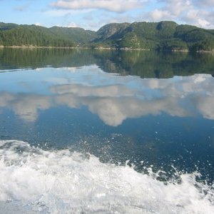 Grönsfjord