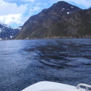 Aus dem Wasser