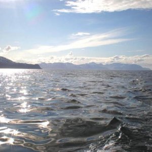 Auf dem Wasser