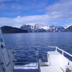 Die kleine Fähre in Burfjord