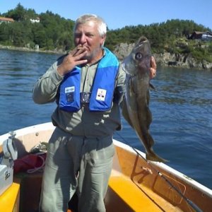Nauke mit Pollak
