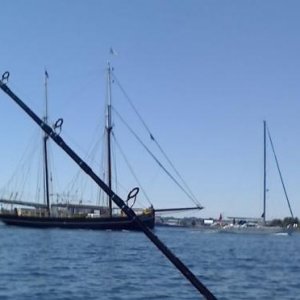 588.jpg