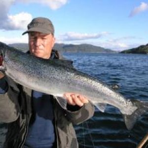 Lachs 002 web