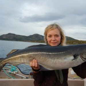 Dönna 2008 Köhler 102cm 9.0kg