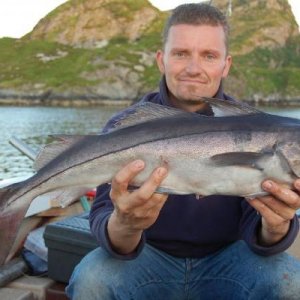 Schellfisch Dönna