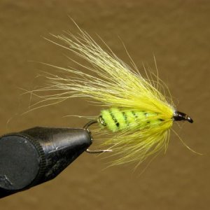Granetaler 
Streamer,Körper Chenille fluogreen
Tinselrippung,Schwinge Fuchs,Hechel
gelb,grün
