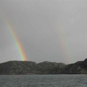 IMG 7752