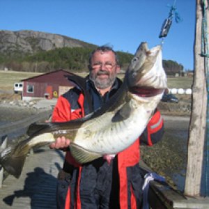 Dorsch hatte 16,5 kg