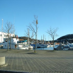 Bild1 336