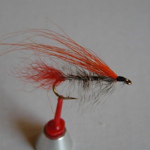 LachsMefo Wettbewerb 007
