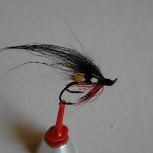 LachsMefo Wettbewerb 009