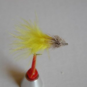 LachsMefo Wettbewerb 010