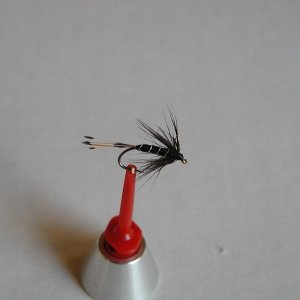 LachsMefo Wettbewerb 011