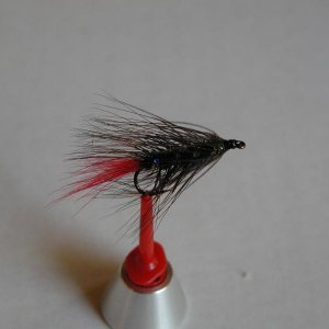 LachsMefo Wettbewerb 012