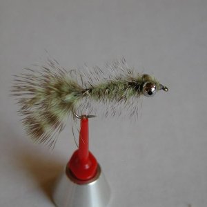 LachsMefo Wettbewerb 015