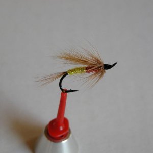 LachsMefo Wettbewerb 016