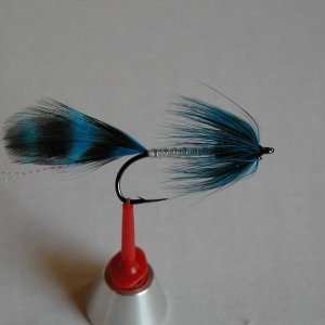 LachsMefo Wettbewerb 018