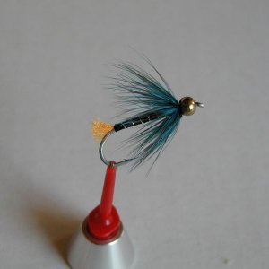 LachsMefo Wettbewerb 021