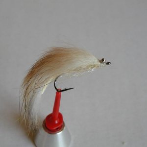 LachsMefo Wettbewerb 022