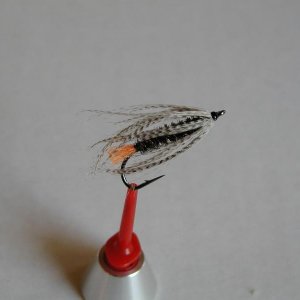 LachsMefo Wettbewerb 023