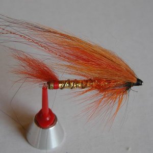 LachsMefo Wettbewerb 025