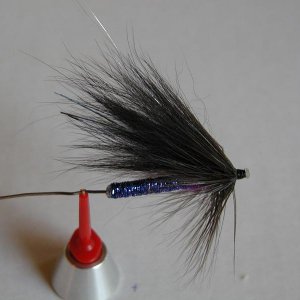 LachsMefo Wettbewerb 026