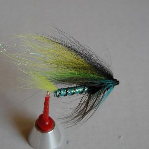 LachsMefo Wettbewerb 027