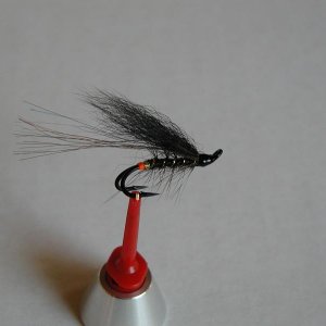LachsMefo Wettbewerb 028