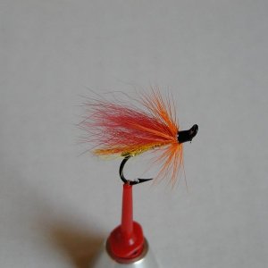 LachsMefo Wettbewerb 029