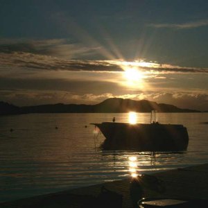 Einladung zum træumen!