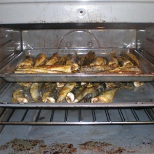 Abendessen für 9 Personen