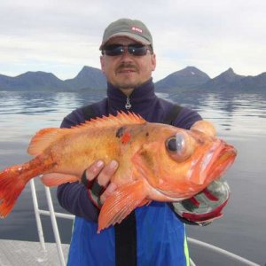 Mein Schwager Carstenson