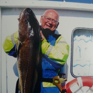 Bild von Hitra - Dorsch